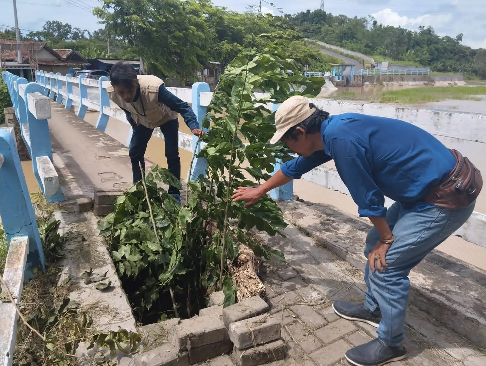 Jembatan