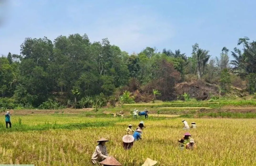 Produksi