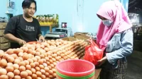Harga Komoditas
