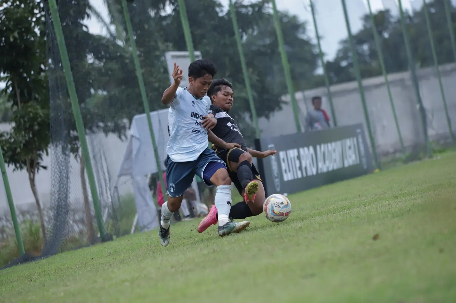 Menang