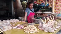 Harga