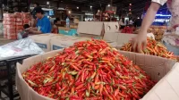 Harga Ayam