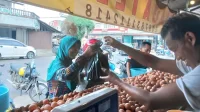 Harga Telur
