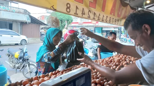 Harga Telur