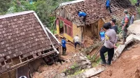 Terdampak