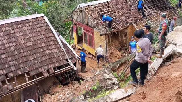 Terdampak