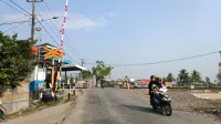 Enam Palang