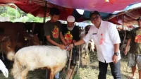 Jelang