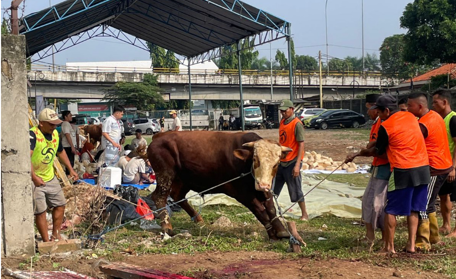 PT Adhimix Precast Indonesia Distribusi 1.200 Daging Kurban di Tangerang