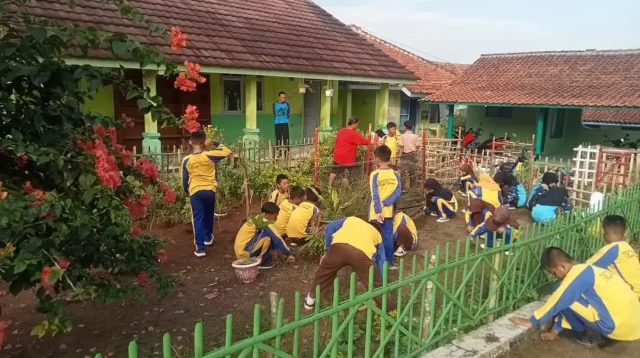 SDN