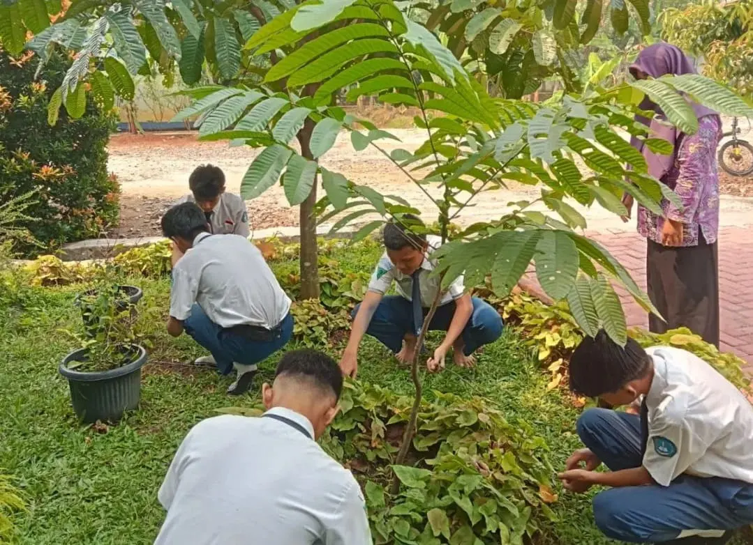 SMPN