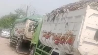 Video Viral Truk Buang Sampah