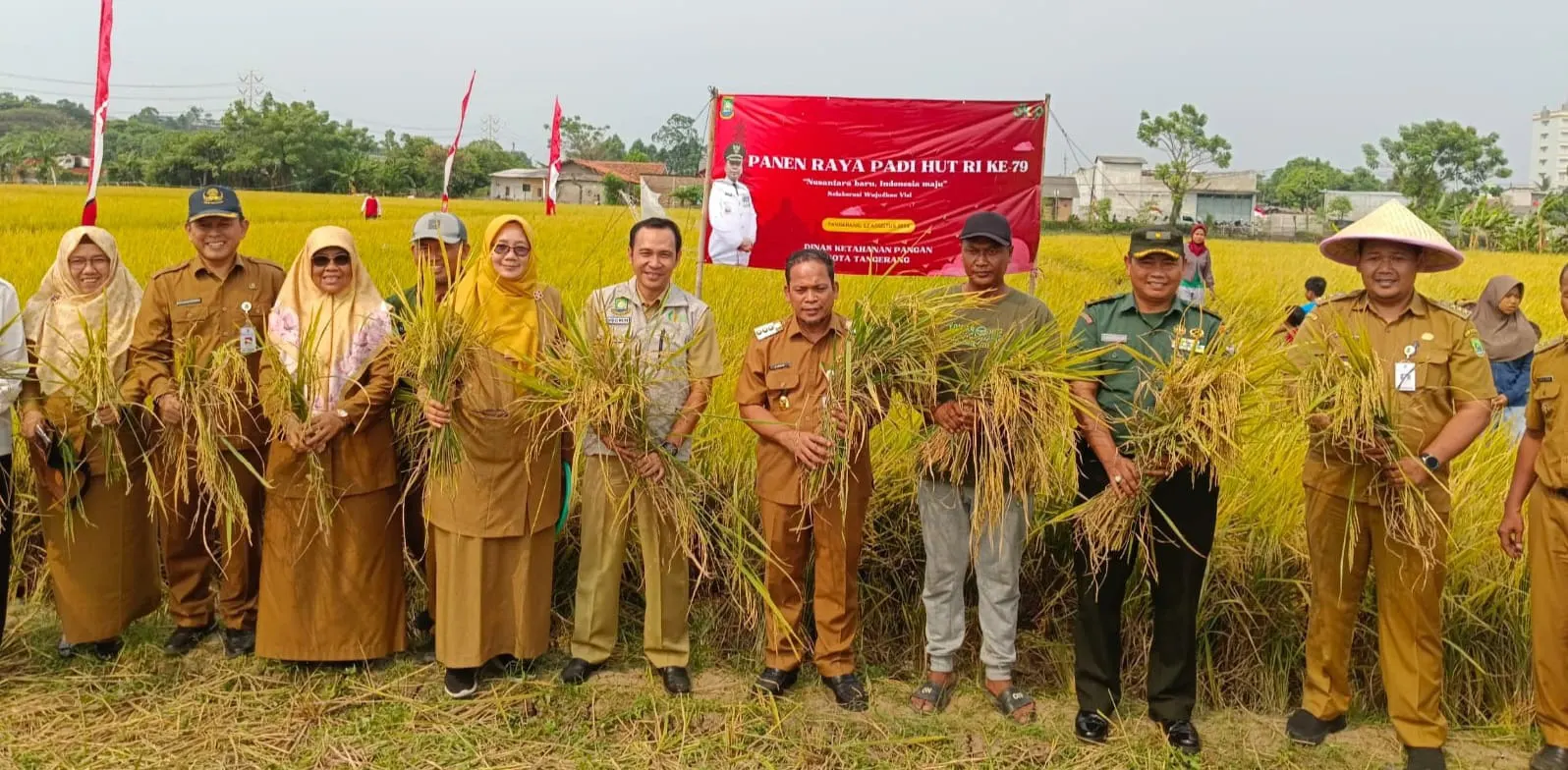 Petani