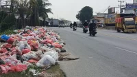 Sampah Liar