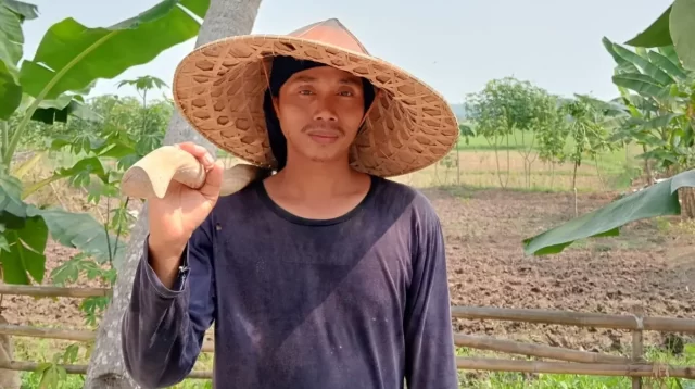 Gapoktan