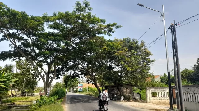 Jalan Jati Tanjakan