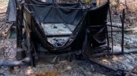 Kapolda Sumsel Berganti, Minyak Cong Kian Merajalela