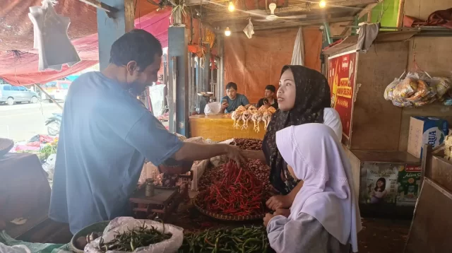 Harga Cabai