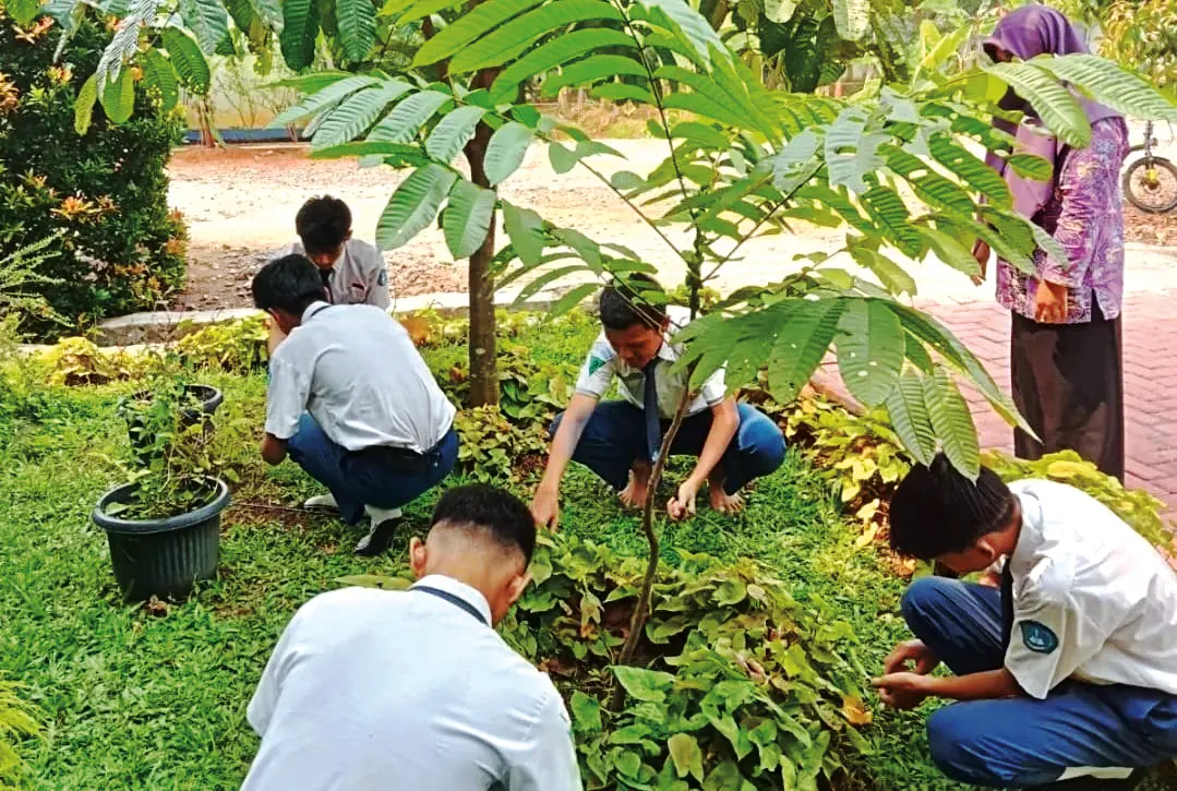 Penghijauan