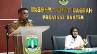 Auditor