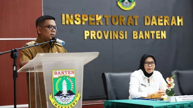 Auditor