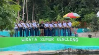 Pencabutan
