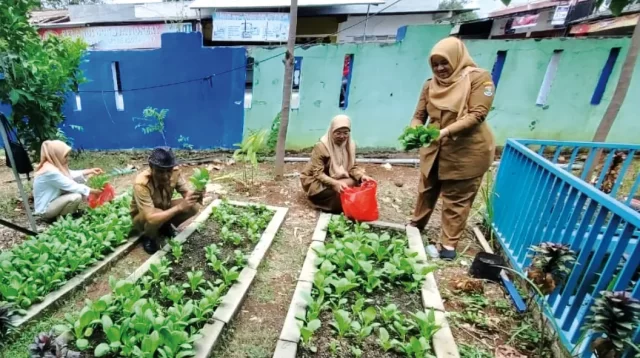 Kebun