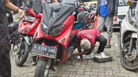 PAD