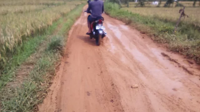 213 Jalan Desa