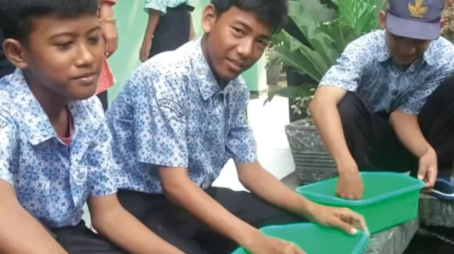 Budidaya