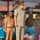 Bupati