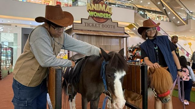 Animal Wonders Mal Ciputra Tangerang, Ruang Edukasi dan Eksplorasi Anak