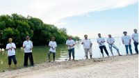 Inspiratif! Aktivis Lingkungan Hidup Tanam Ribuan Bibit Mangrove di Pesisir Pantai Api-Api