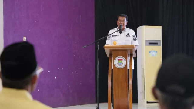Sosialisasi