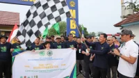 Bupati