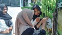 Praktik Cavendish Siswa SMPN1 Kemiri Praktik