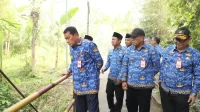 Tinjau