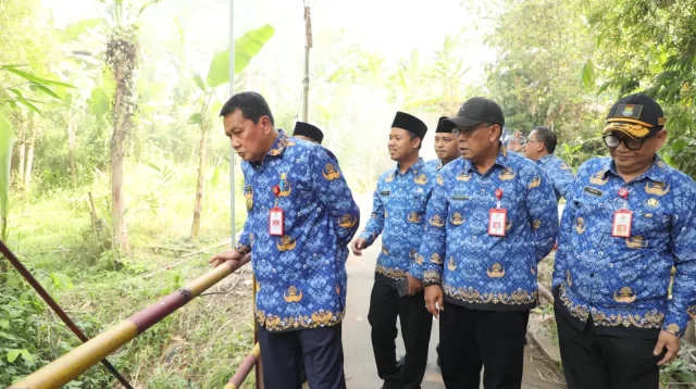 Tinjau