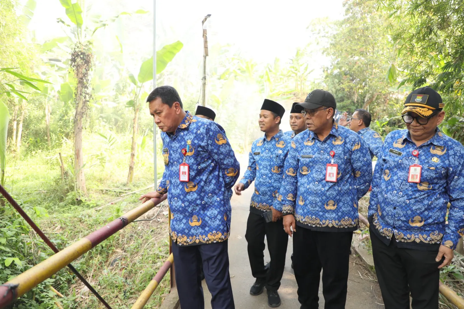 Tinjau