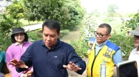 Bupati