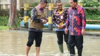 Bupati