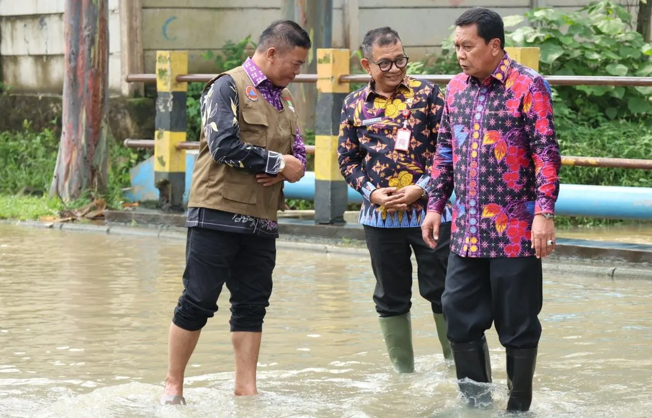 Bupati