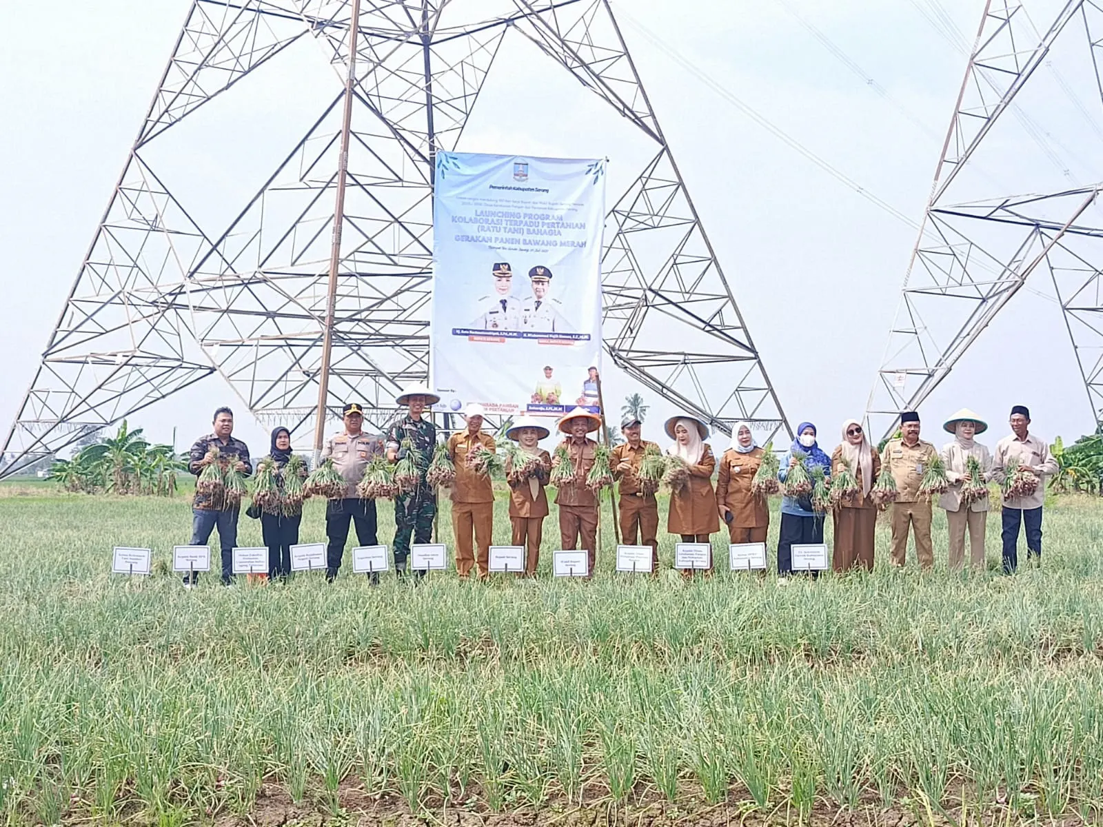 Kebutuhan Bawang Merah