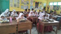 IMG-20250929-WA0095