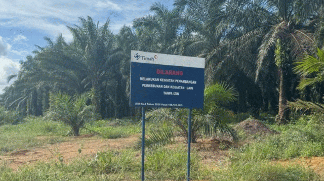 PT Timah vs Warga Belitung, Pakar Hukum Sebut IUP Bermasalah