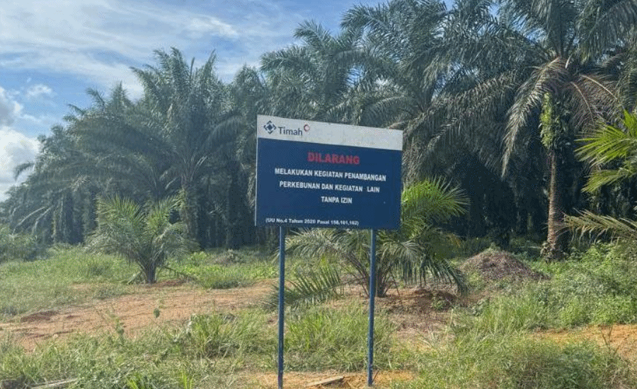 PT Timah vs Warga Belitung, Pakar Hukum Sebut IUP Bermasalah