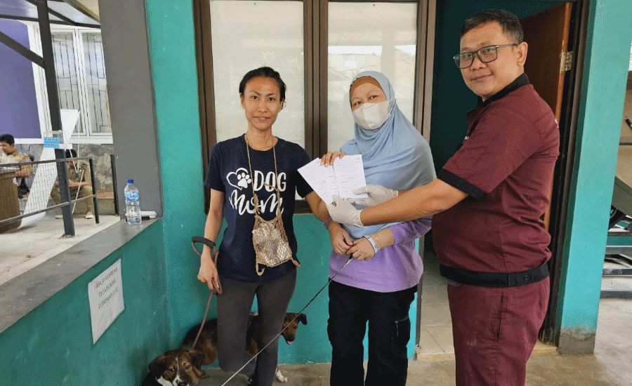 Waspada Rabies, Gigitan Hewan Penular Capai 1.362 Kasus