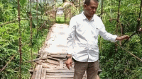 109 Unit Jembatan Gantung di Lebak Rusak Berat 