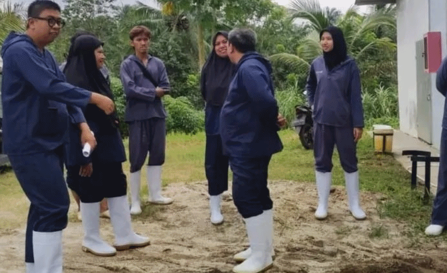 Disnakeswan Lebak Awasi Usaha Ayam Petelur, Pastikan Standar Keamanan Pangan