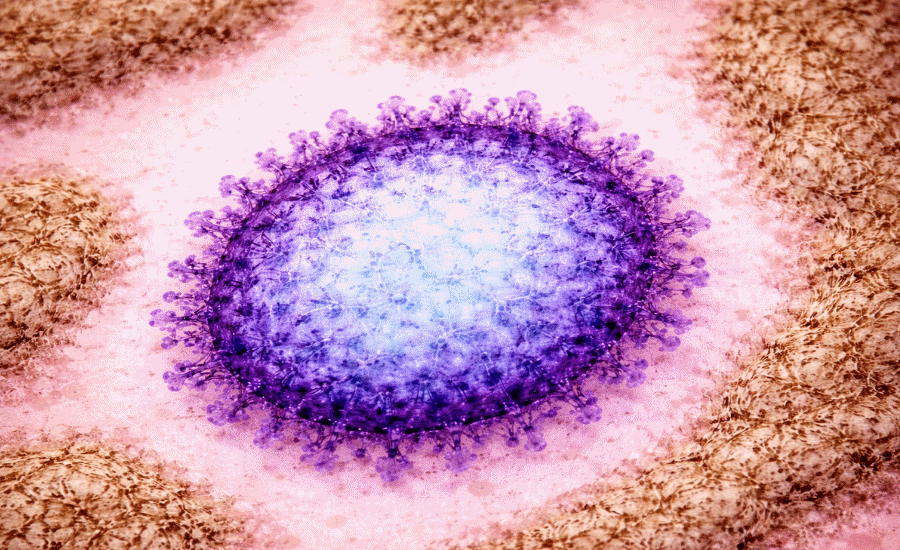 Mengenal Virus Nipah, Haruskah Kita Waspada?